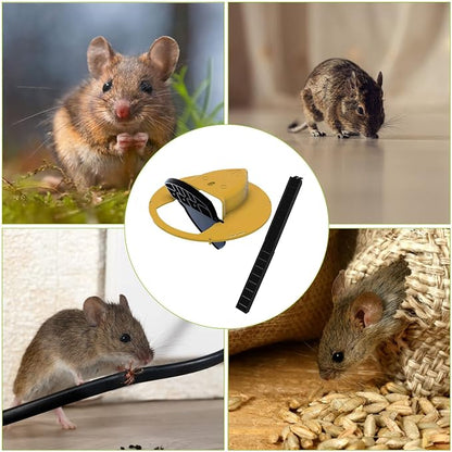 🔥Hot Sale 49% off ✨🐭Reusable Flip Bucket Trap Catch Mice Squirrels Humanely