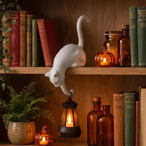🐈‍⬛ Cute Cat Hook Shelf Decor