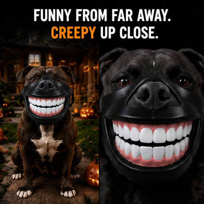 ⏳ Last day 50% OFF –🐶Giant Grin Halloween Dog Mask