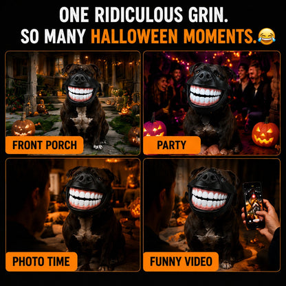 ⏳ Last day 50% OFF –🐶Giant Grin Halloween Dog Mask