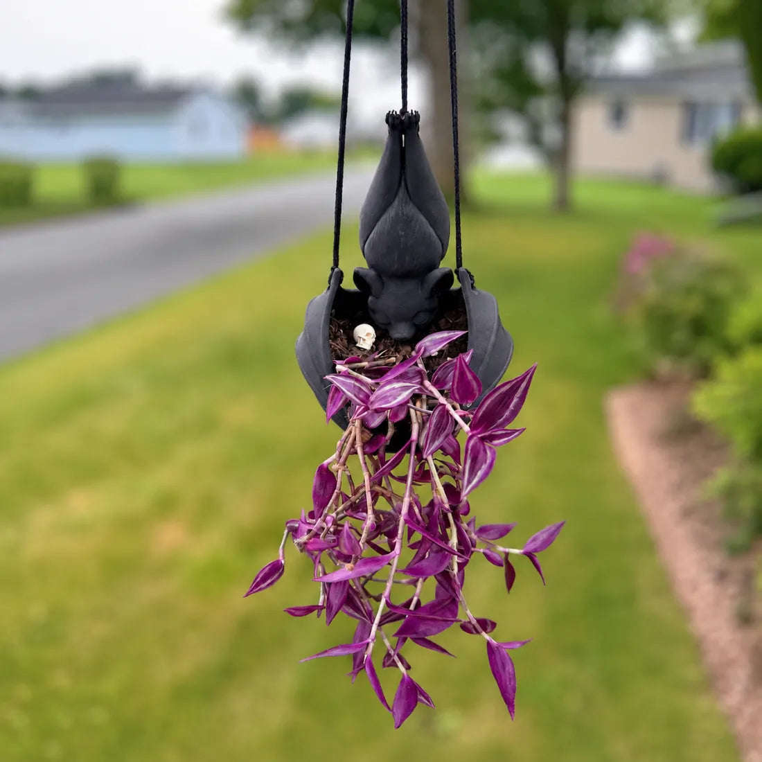 🌿🦇 Hanging Bat Planter Pot for Gothic Home & Garden Decor ✨