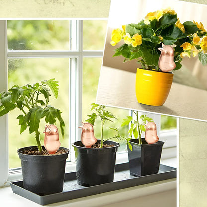 ✨Birdie Type Automatic Flower Waterer✨