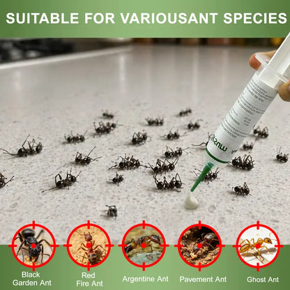 🐜 Carpenter Ant Gel Bait – Colony Killer for Indoor & Outdoor Use | 4 × 30g Tubes