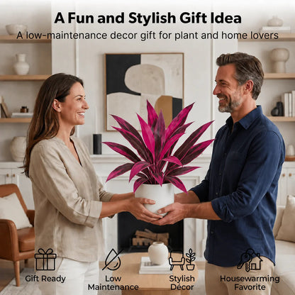 🎁 Last Day 49% OFF🌿 Realistic Boston Fern & Dragon's Blood Tree Faux Plants