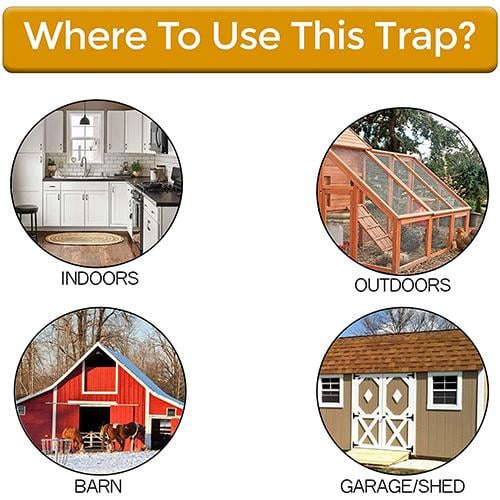 🔥Hot Sale 49% off ✨🐭Reusable Flip Bucket Trap Catch Mice Squirrels Humanely